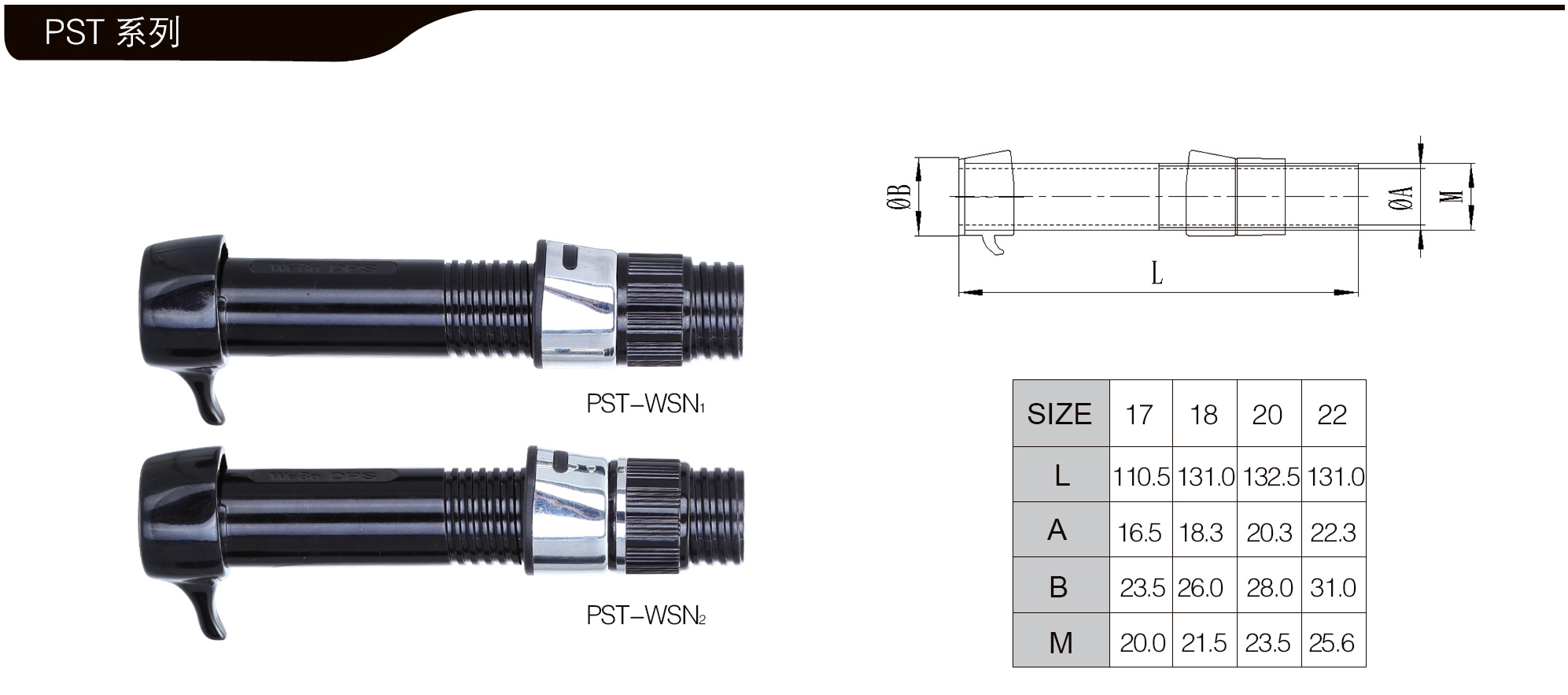 pst02.jpg